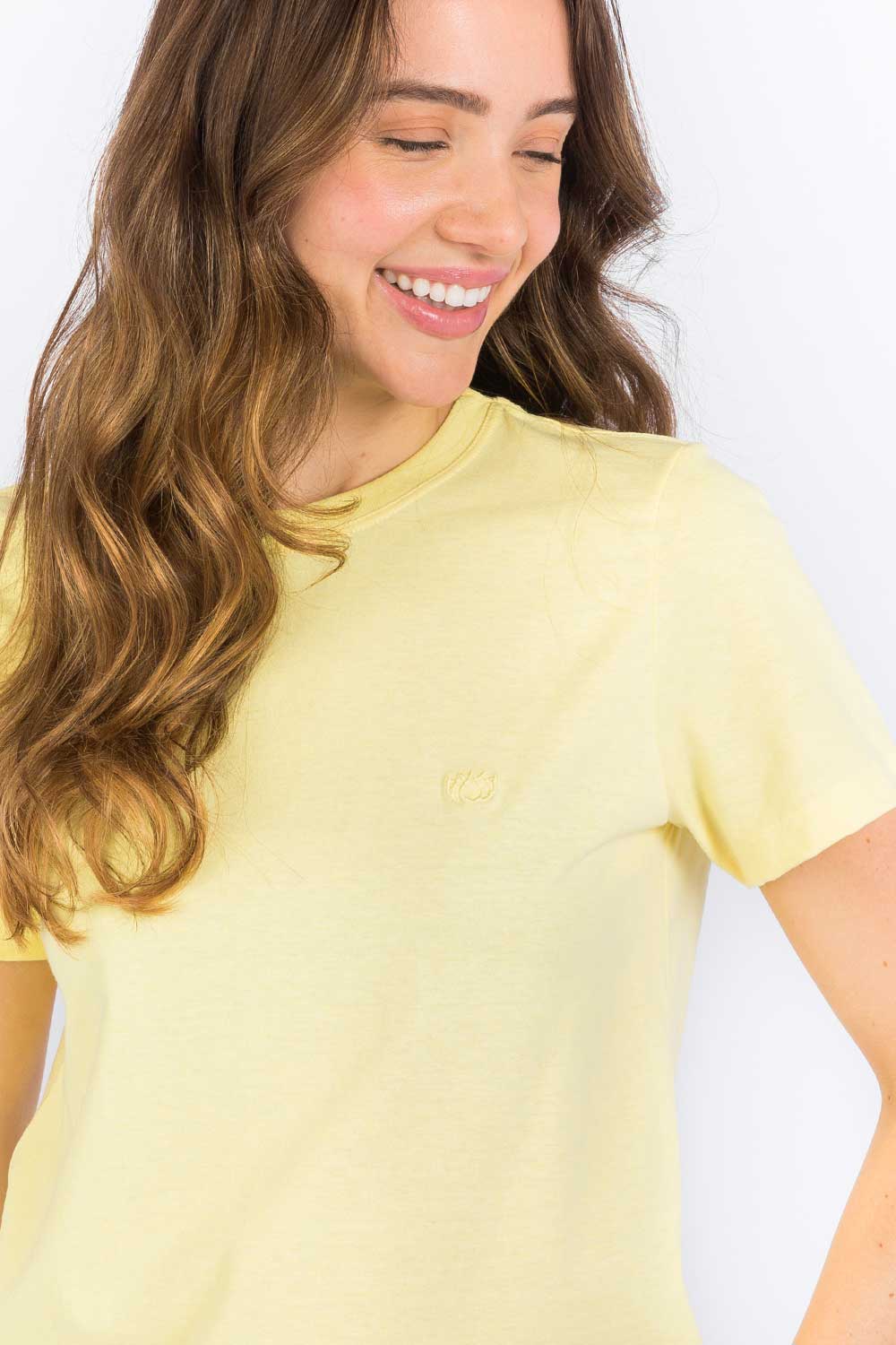 blusa-feminina-b-sica-amarela-gola-redonda-taco