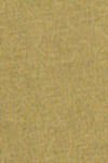 Product color