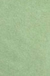 Product color