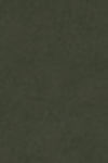 Product color