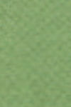 Product color