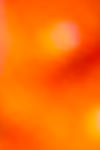 Product color