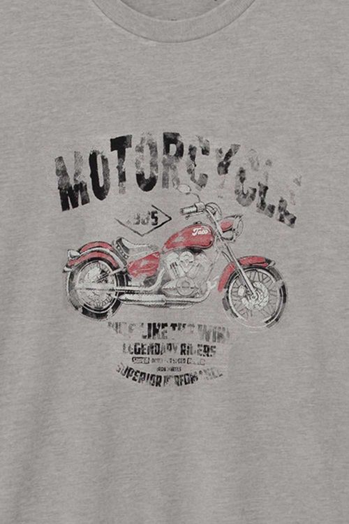 T-Shirt Estampada Stone Cinza